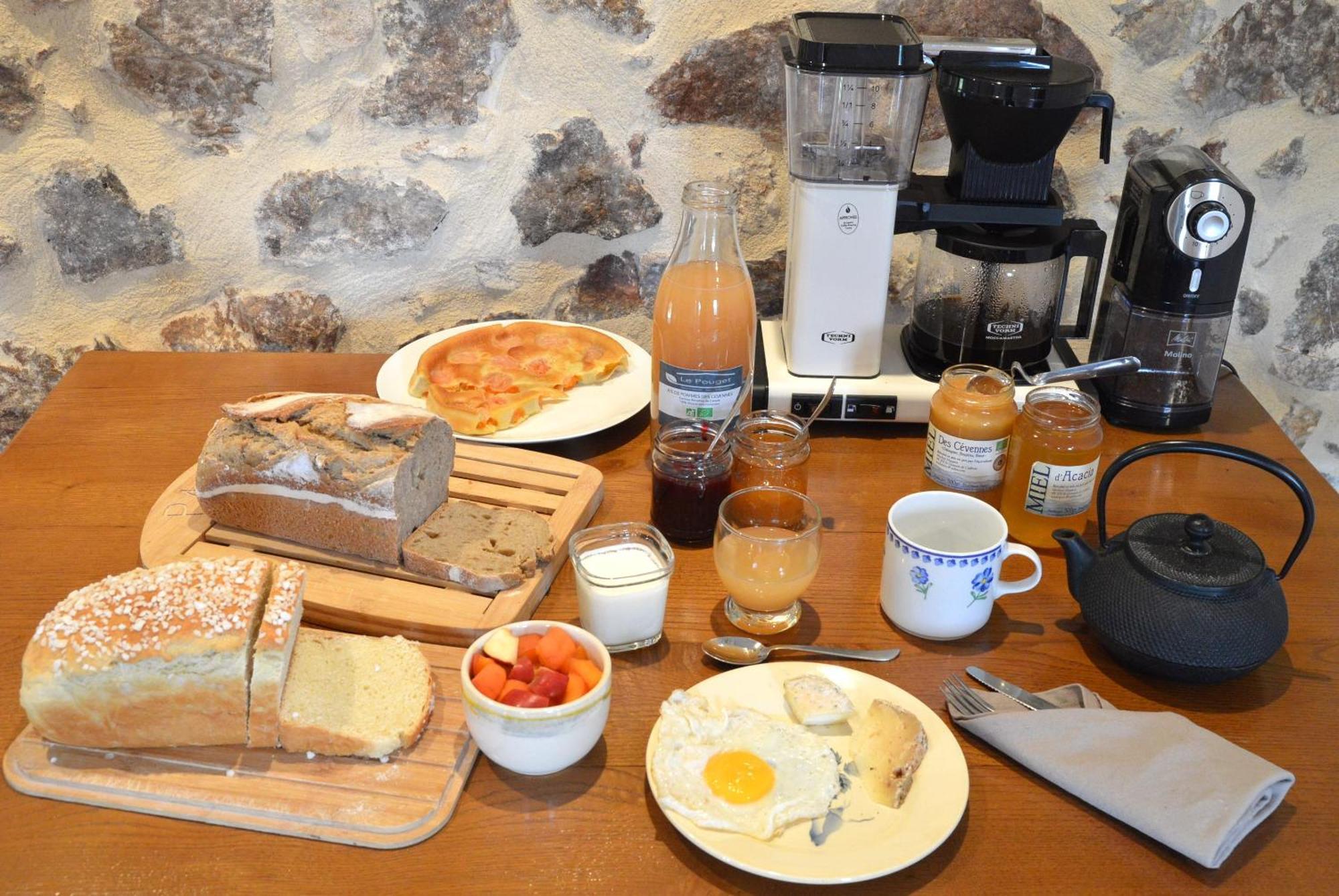 Bed and Breakfast Mas Des Druilles à Generargues Extérieur photo
